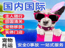 兰旗机场快运国际宠物托运 【国